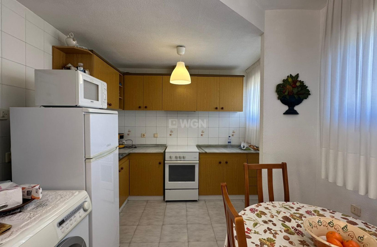 Odsprzedaż - Daszek - Torrevieja - Estacion De Autobuses