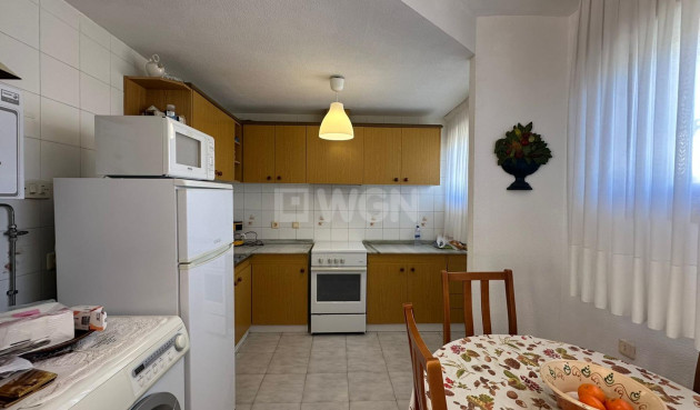 Odsprzedaż - Daszek - Torrevieja - Estacion De Autobuses