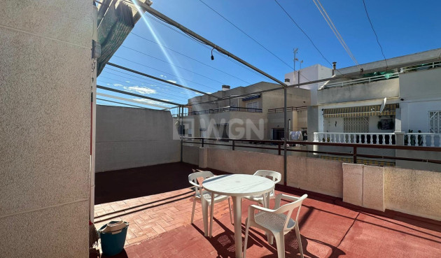 Odsprzedaż - Daszek - Torrevieja - Estacion De Autobuses