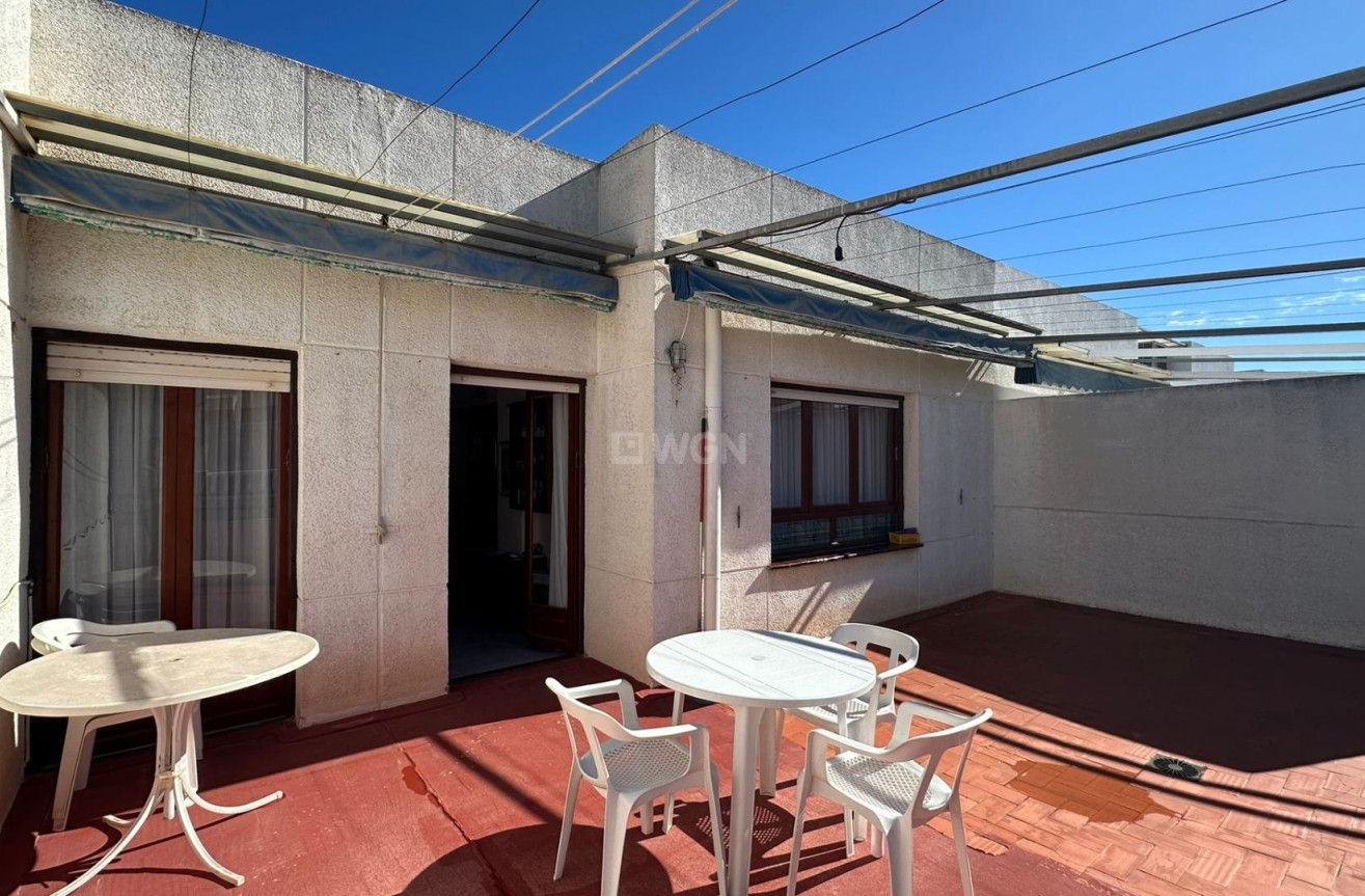 Odsprzedaż - Daszek - Torrevieja - Estacion De Autobuses