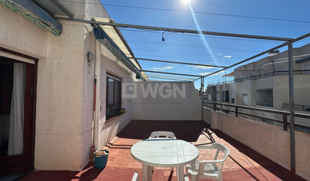 Odsprzedaż - Daszek - Torrevieja - Estacion De Autobuses