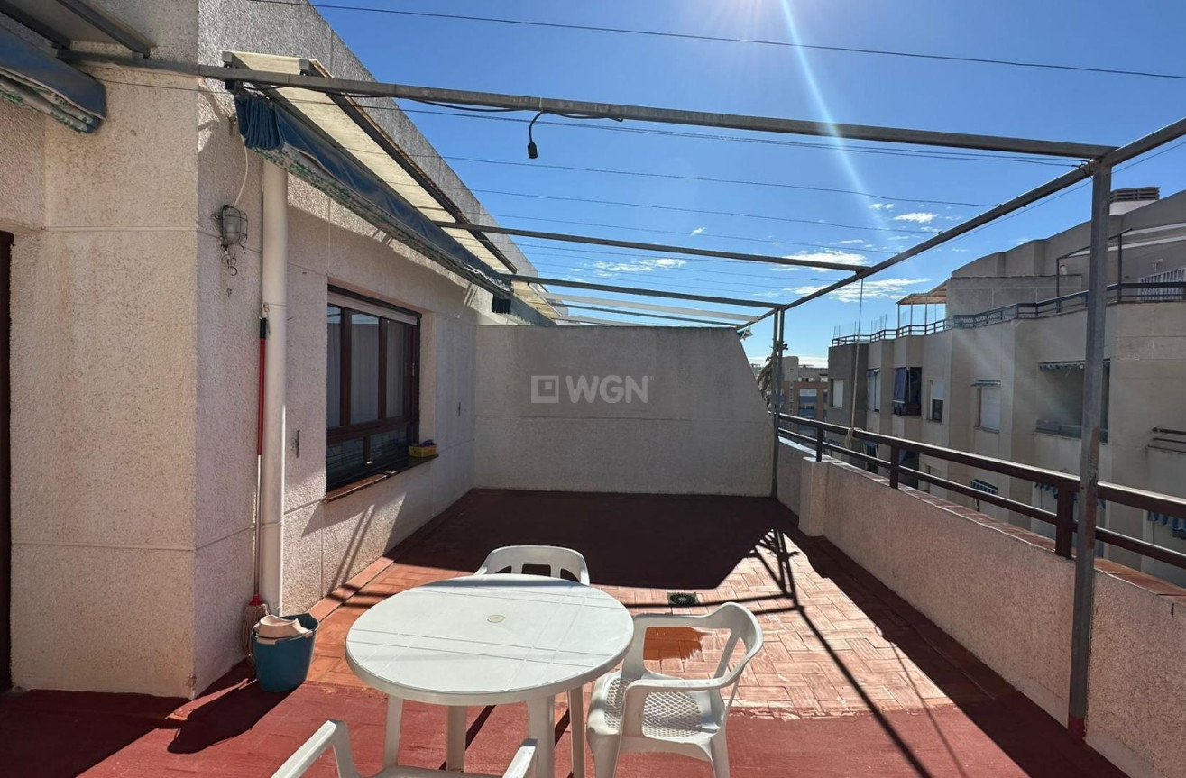 Odsprzedaż - Daszek - Torrevieja - Estacion De Autobuses