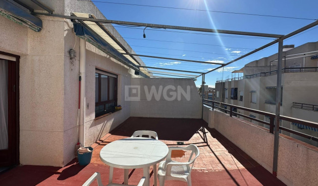 Odsprzedaż - Daszek - Torrevieja - Estacion De Autobuses