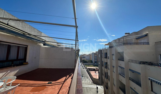 Odsprzedaż - Daszek - Torrevieja - Estacion De Autobuses