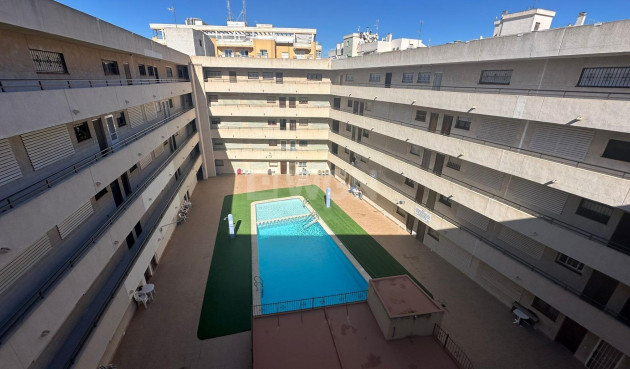 Odsprzedaż - Daszek - Torrevieja - Estacion De Autobuses