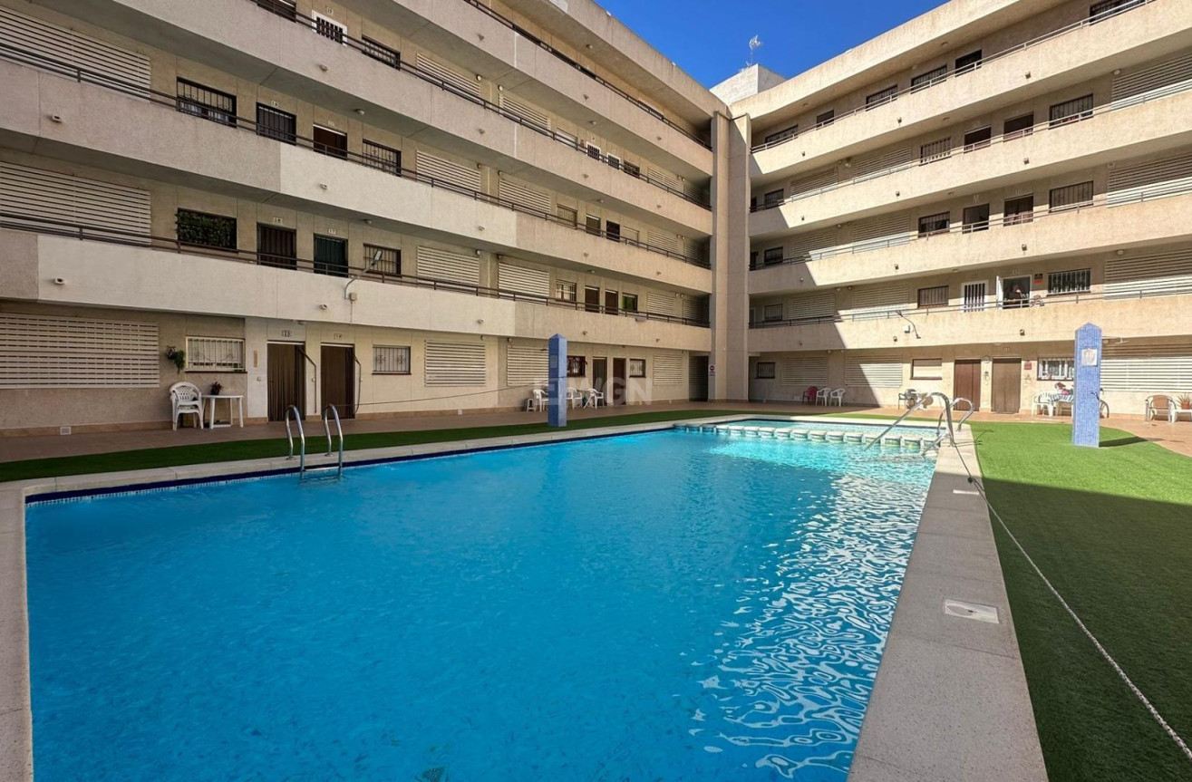 Odsprzedaż - Daszek - Torrevieja - Estacion De Autobuses