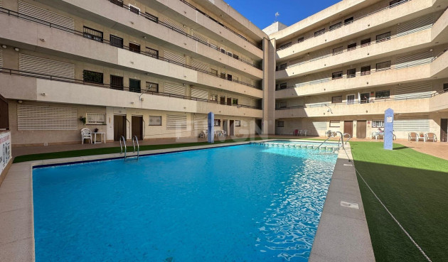 Odsprzedaż - Daszek - Torrevieja - Estacion De Autobuses