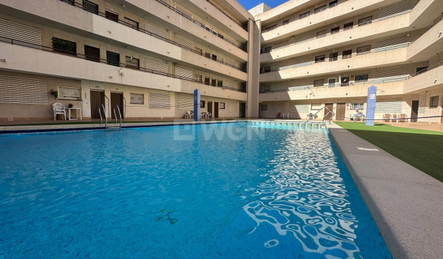 Odsprzedaż - Daszek - Torrevieja - Estacion De Autobuses