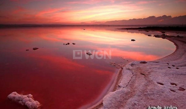 Odsprzedaż - Dupleks - Torrevieja - La Siesta