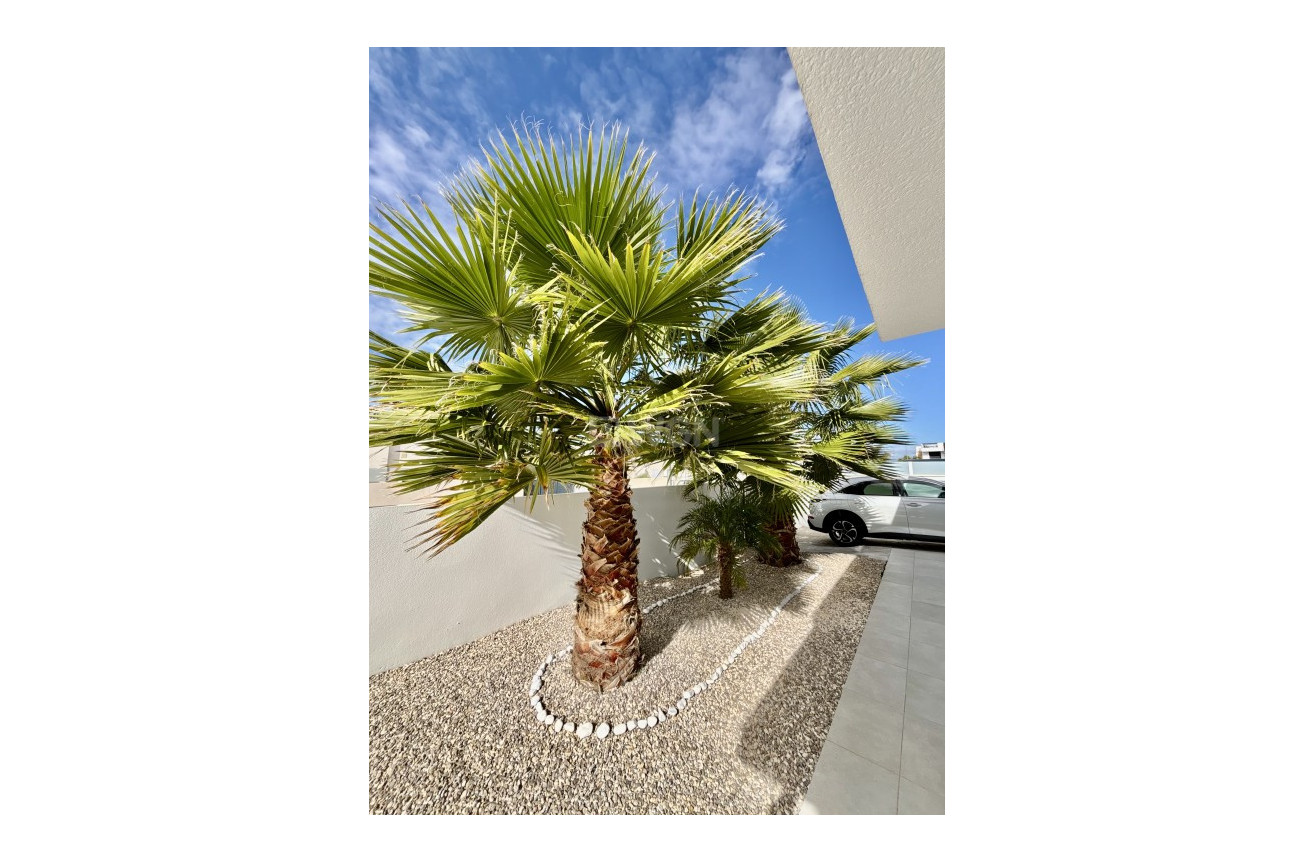 Odsprzedaż - Villa - Benijofar - Costa Blanca