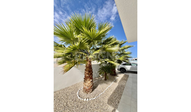 Odsprzedaż - Villa - Benijofar - Costa Blanca