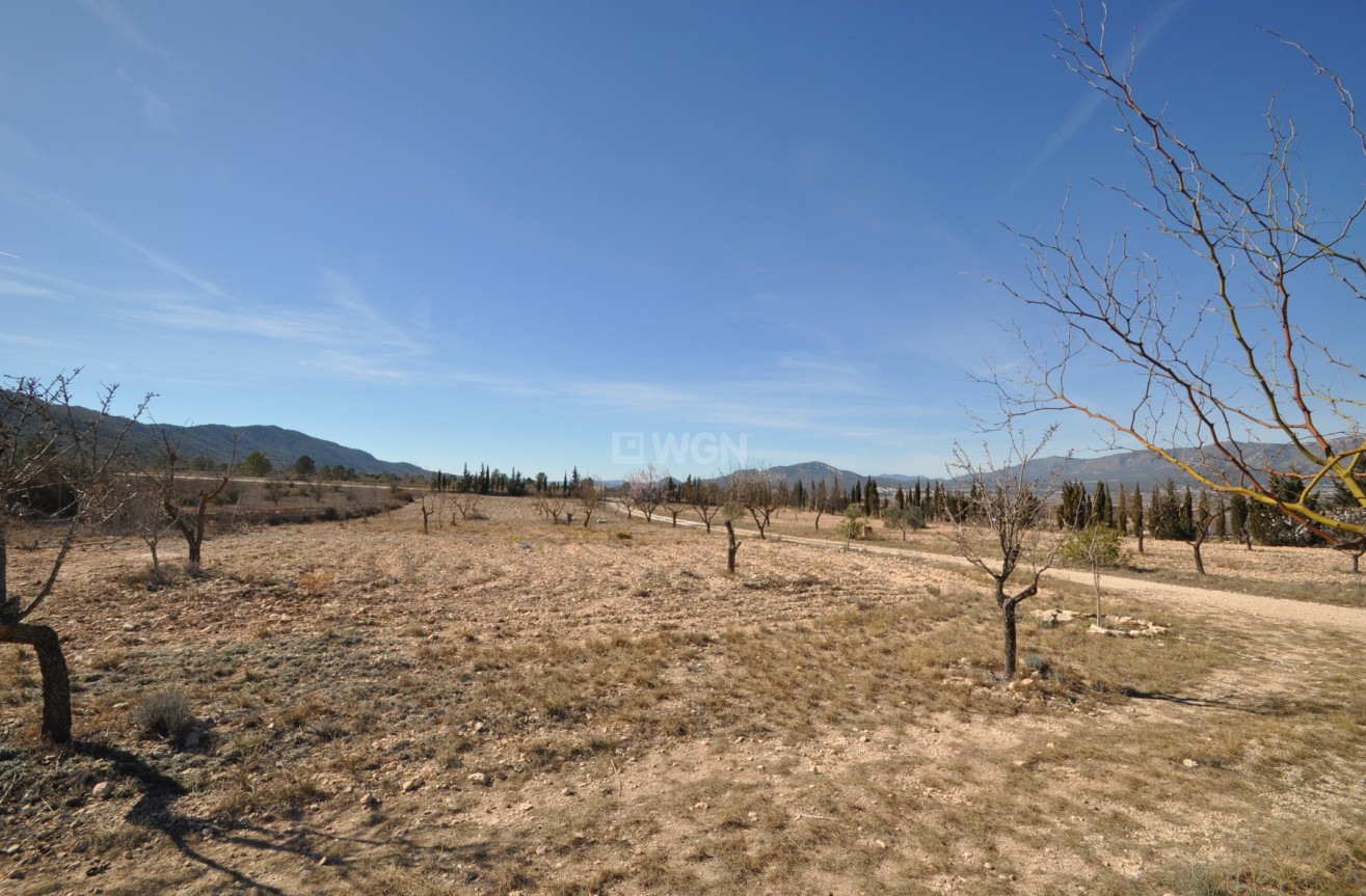 Reventa - Villa - Salinas - Inland