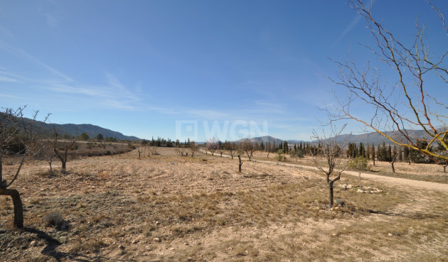 Reventa - Villa - Salinas - Inland