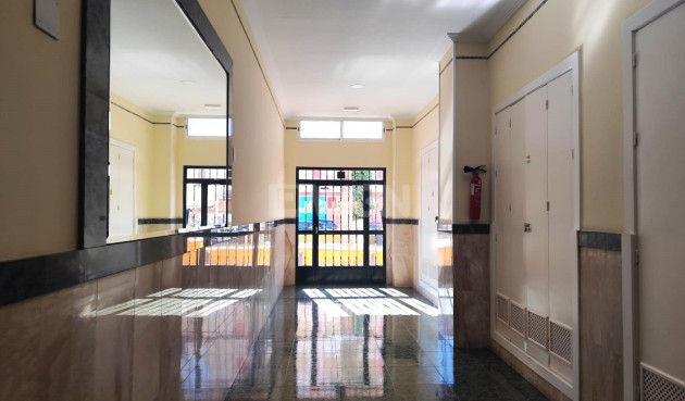 Odsprzedaż - Mieszkanie w bloku - Torrevieja - Centro