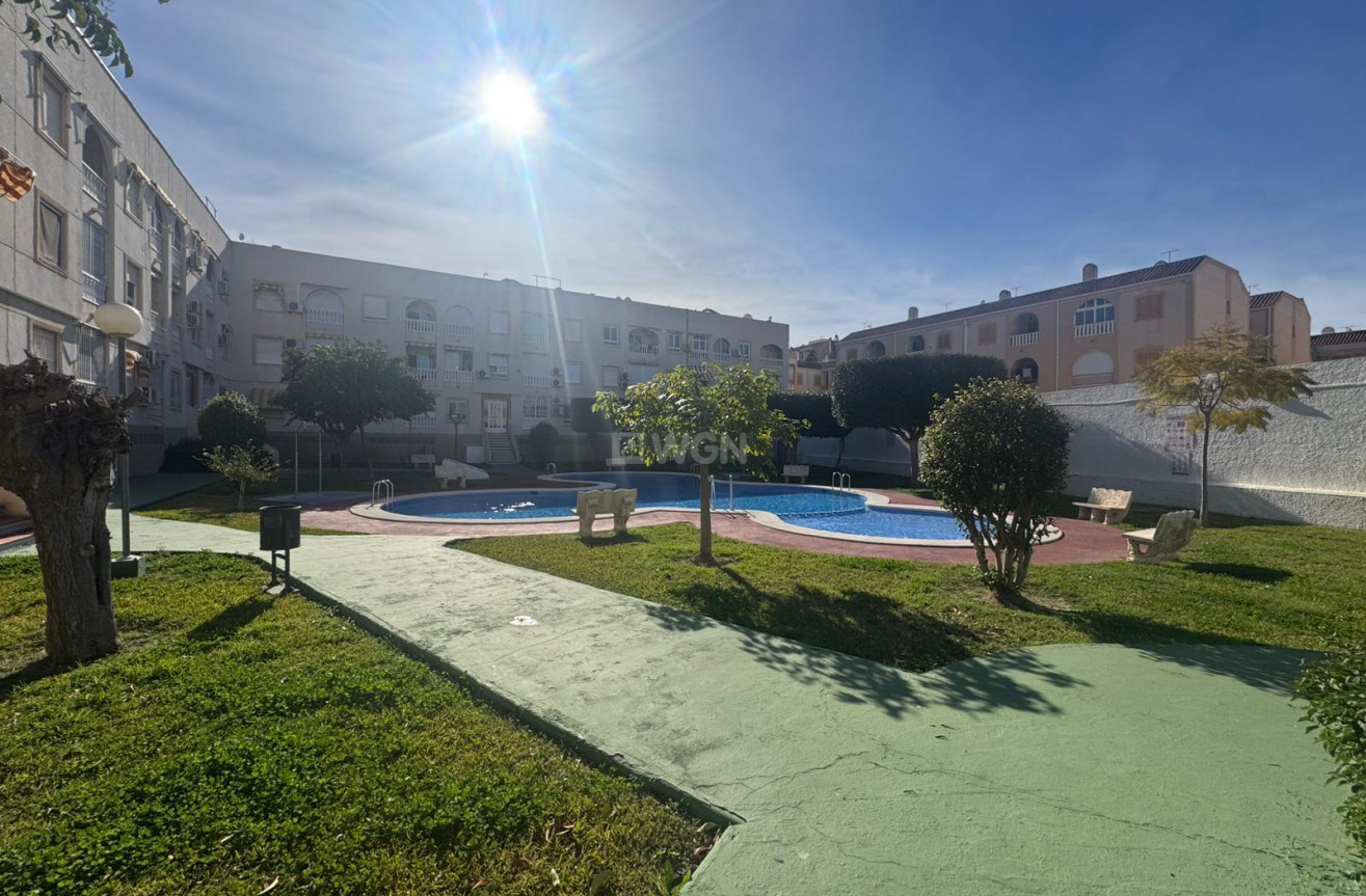 Odsprzedaż - Mieszkanie w bloku - Torrevieja - Costa Blanca