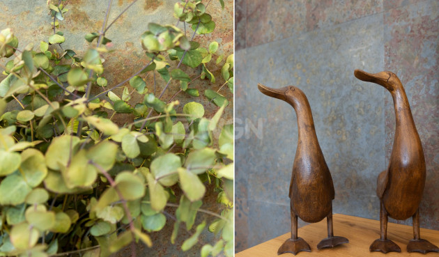 Odsprzedaż - Villa - San Vicente del Raspeig - Inland