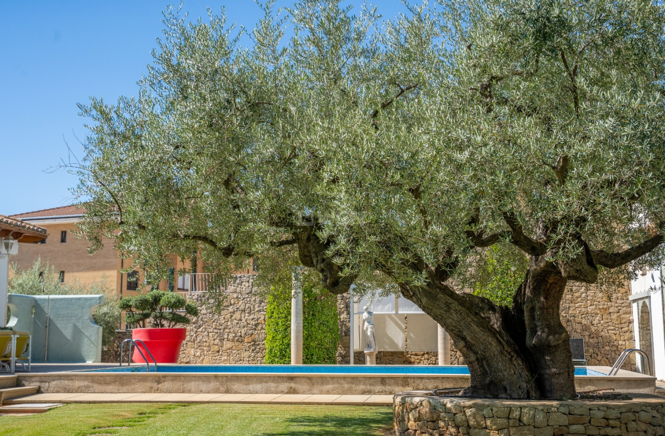 Odsprzedaż - Villa - Alcoy - Inland