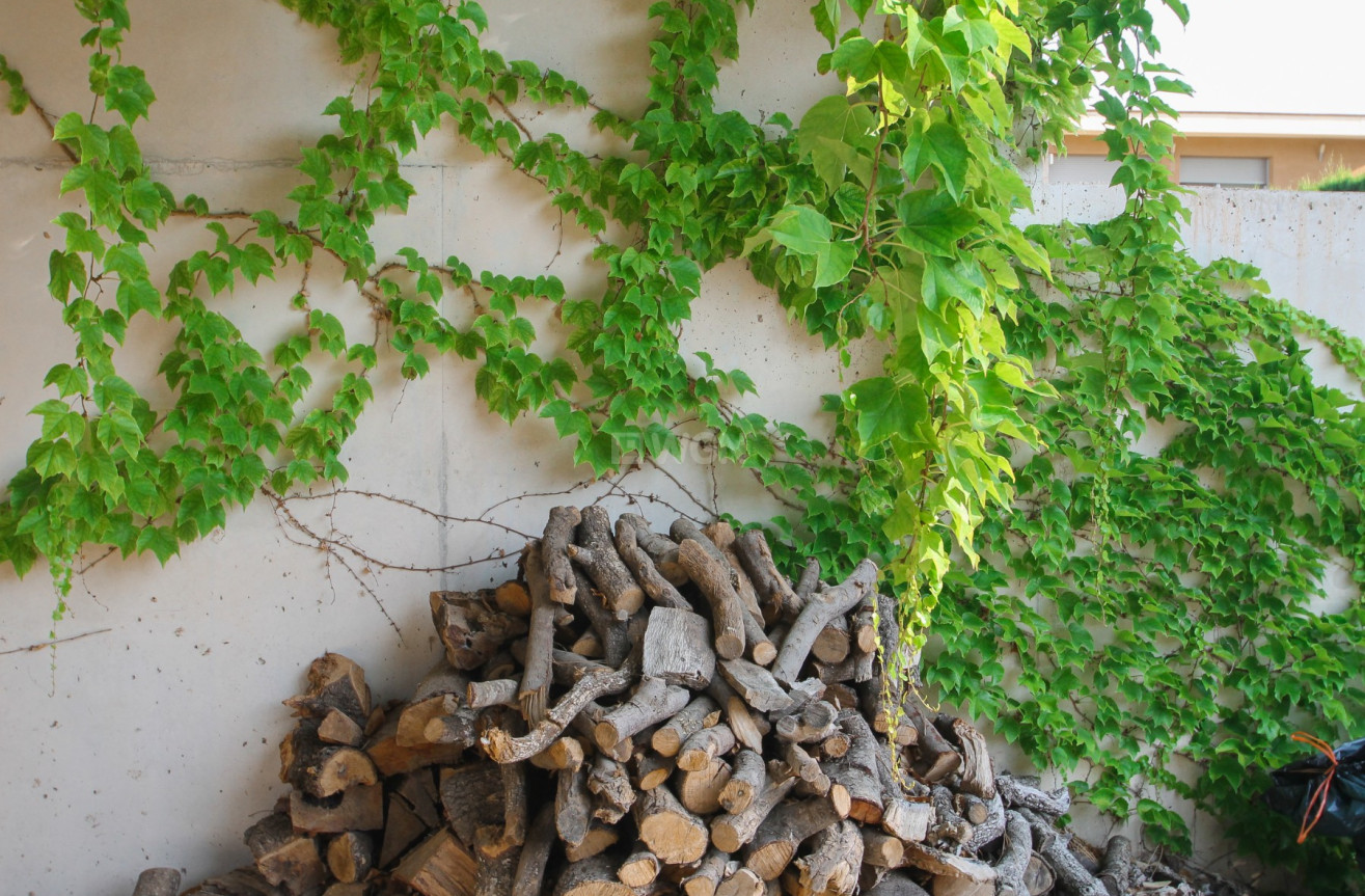 Odsprzedaż - Villa - San Vicente del Raspeig - Inland