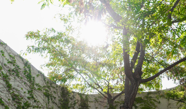 Odsprzedaż - Villa - San Vicente del Raspeig - Inland