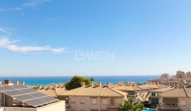 Odsprzedaż - Villa - Torrevieja - Costa Blanca