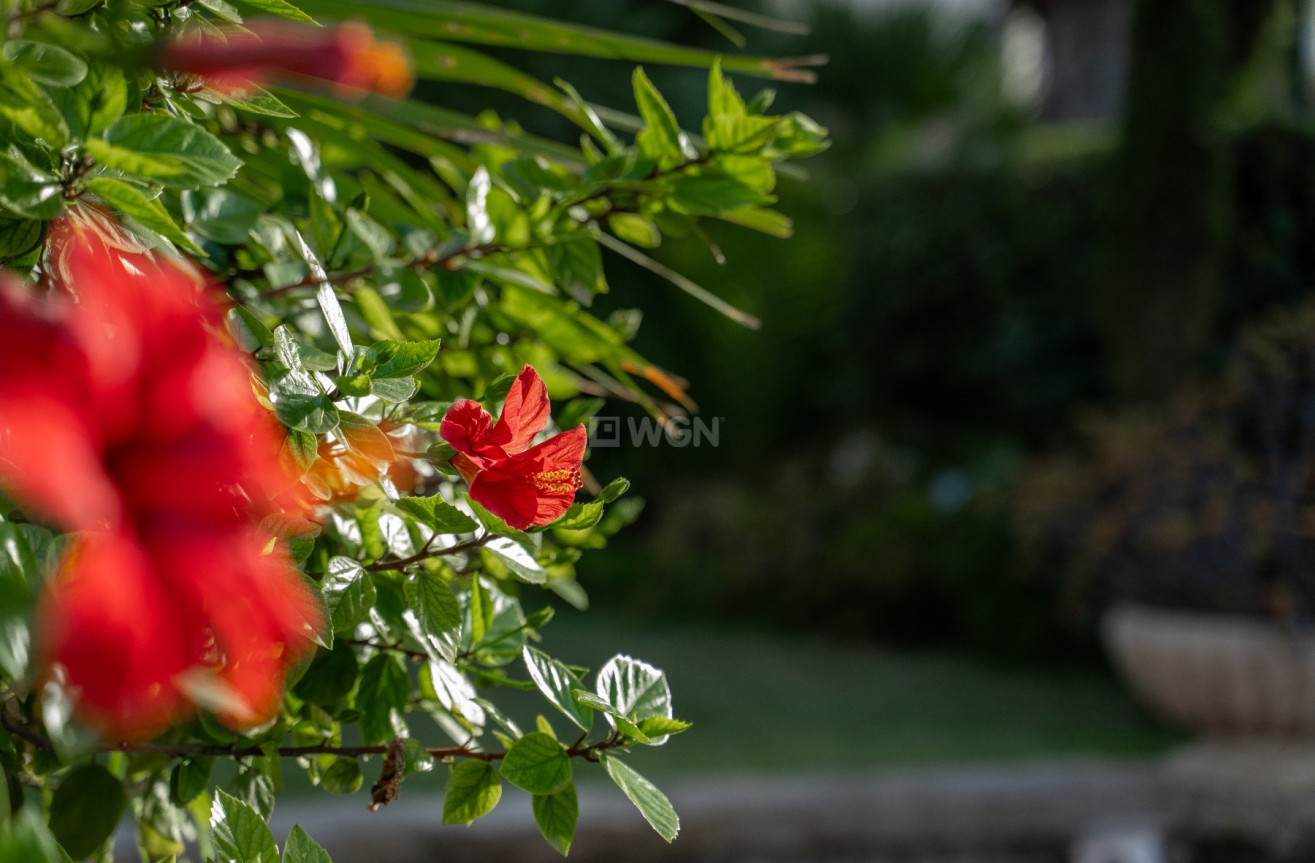 Odsprzedaż - Villa - Alicante - Costa Blanca