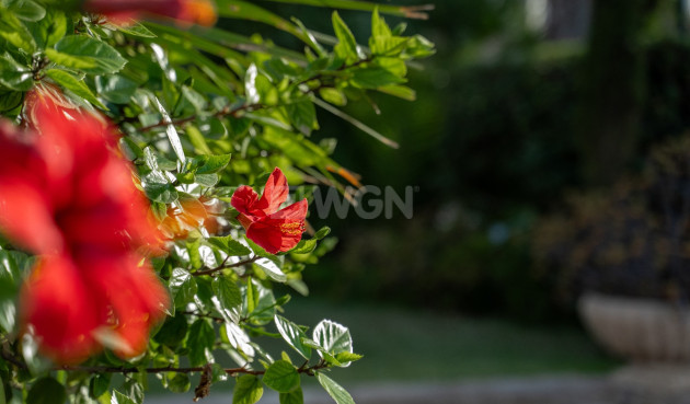 Odsprzedaż - Villa - Alicante - Costa Blanca