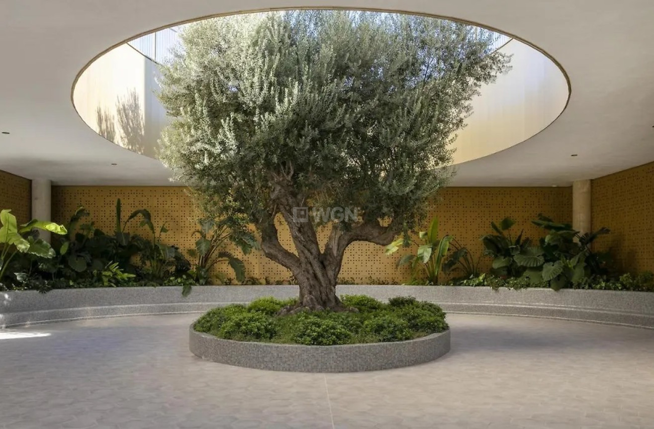 Odsprzedaż - Mieszkanie w bloku - Benidorm - Costa Blanca