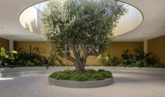 Odsprzedaż - Mieszkanie w bloku - Benidorm - Costa Blanca