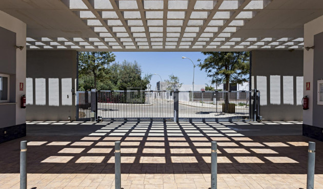 Nowy budynek - Daszek - Vera - El Playazo