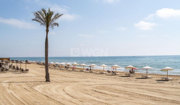 Nowy budynek - Daszek - Guardamar del Segura - Pueblo