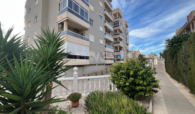 Odsprzedaż - Mieszkanie w bloku - Torrevieja - aguas nuevas