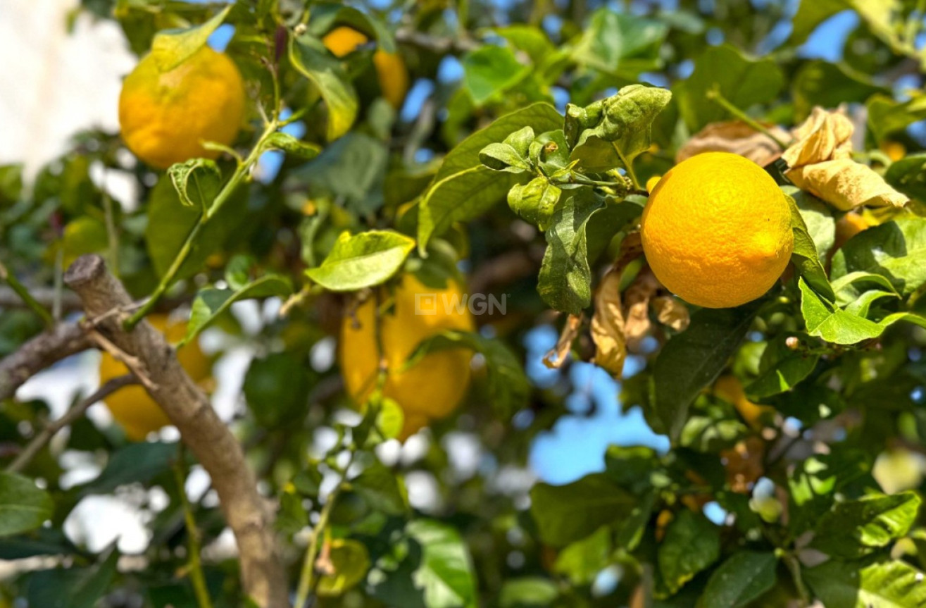 Odsprzedaż - Villa - Orihuela Costa - Costa Blanca