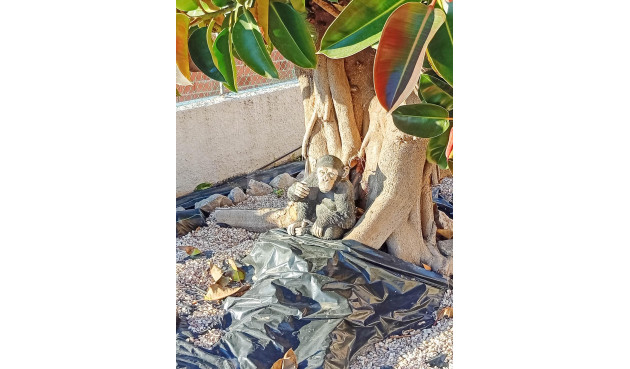 Odsprzedaż - Villa - Torrevieja - La Siesta - El Salado - Torreta