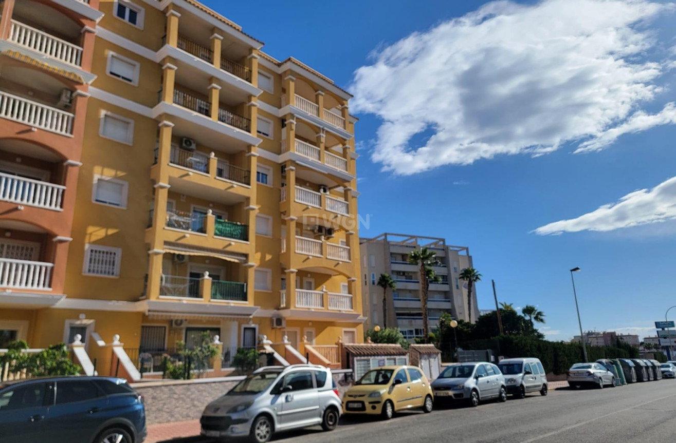 Odsprzedaż - Mieszkanie w bloku - Torrevieja - aguas nuevas
