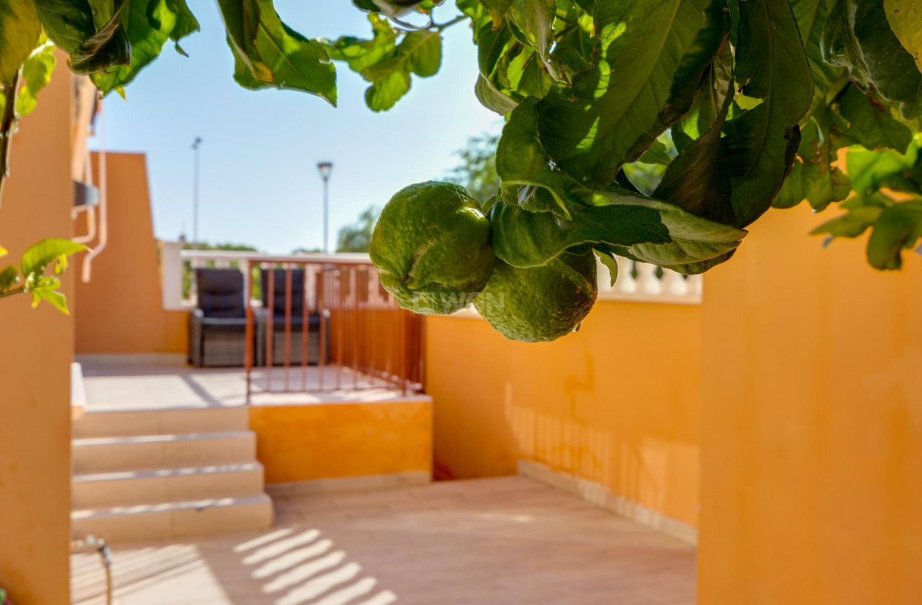 Odsprzedaż - Bungalow - Torrevieja - aguas nuevas