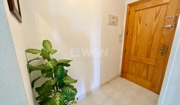 Odsprzedaż - Mieszkanie w bloku - Torrevieja - La Mata