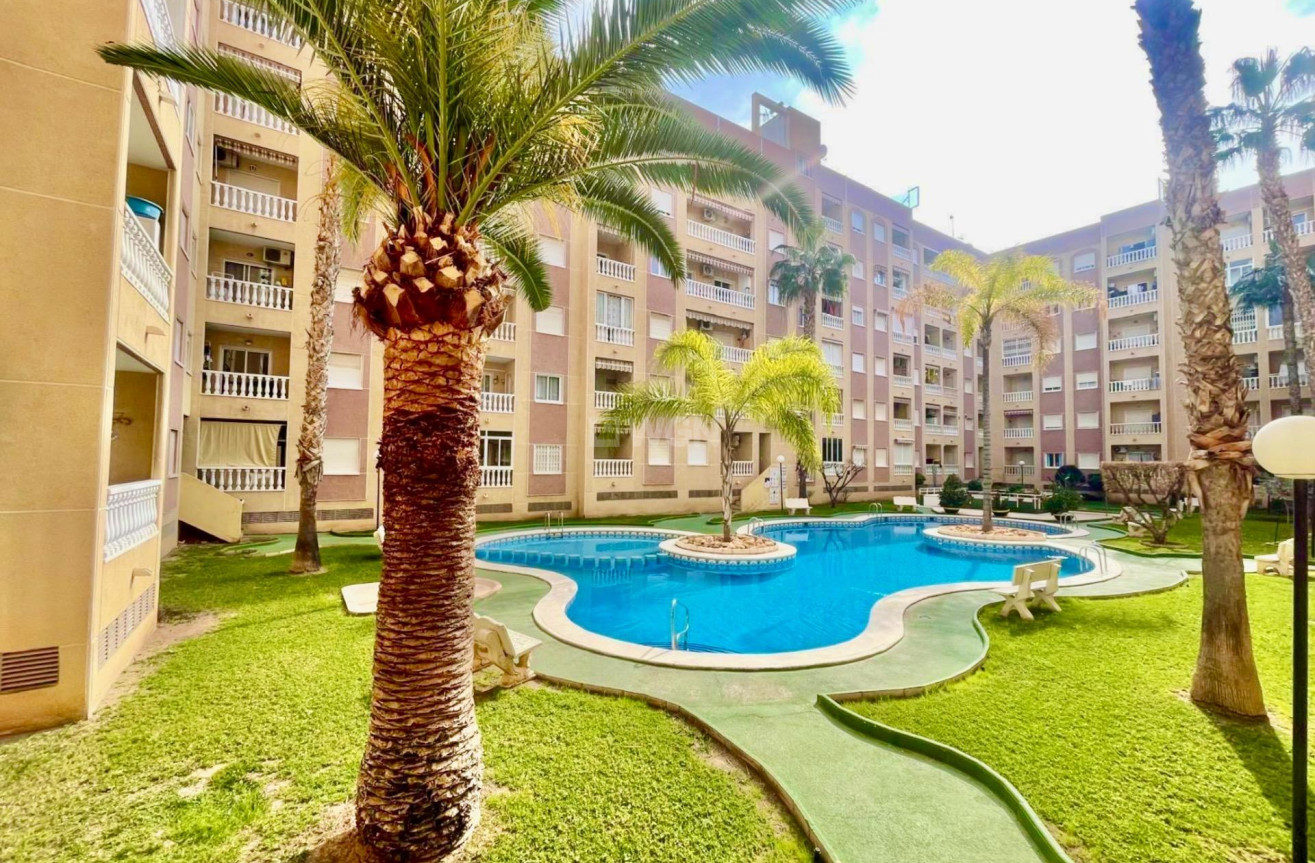 Odsprzedaż - Mieszkanie w bloku - Torrevieja - Centro