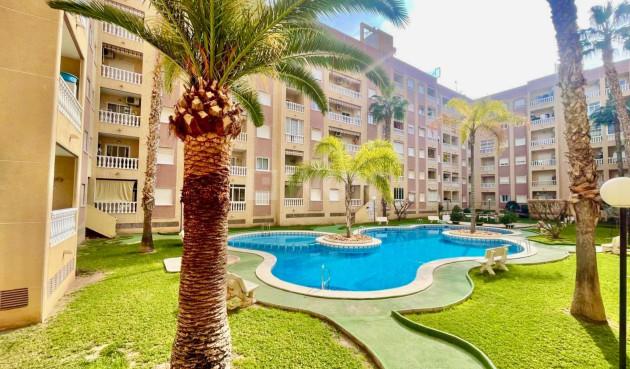 Odsprzedaż - Mieszkanie w bloku - Torrevieja - Centro