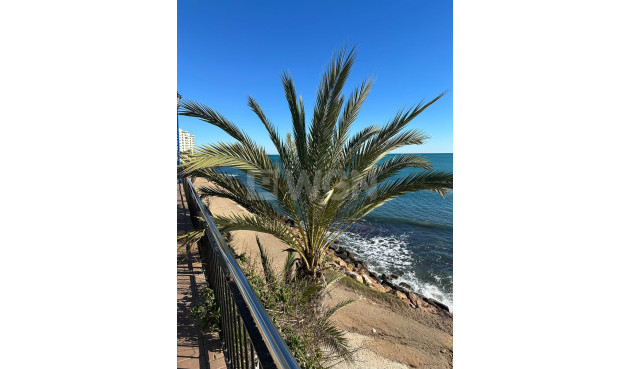 Odsprzedaż - Mieszkanie w bloku - Punta Prima - Costa Blanca