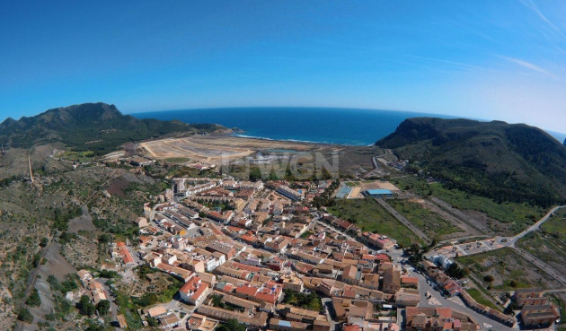 Neue Gebäude - Stadthaus - La Union - centro