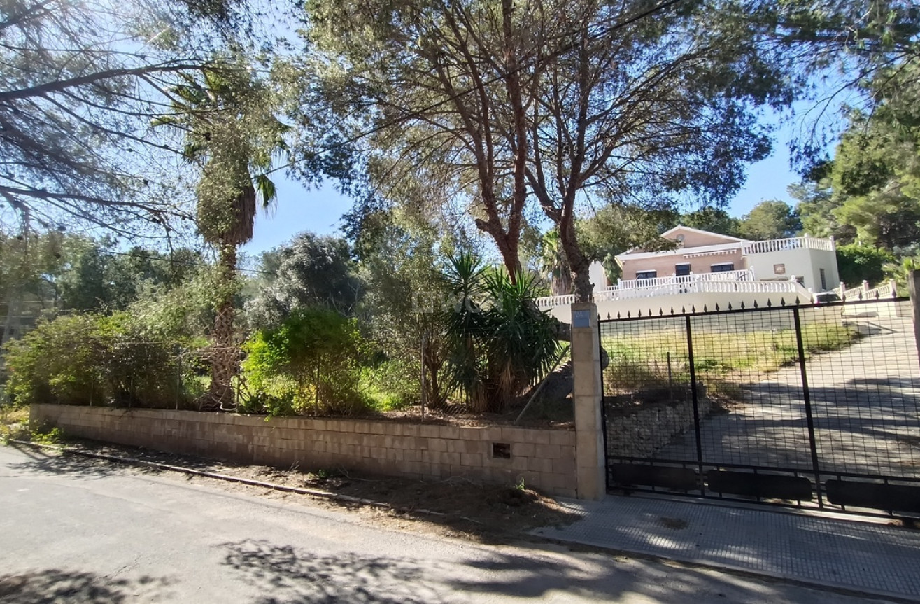 Resale - Villa - Canadas De San Pedro - Inland