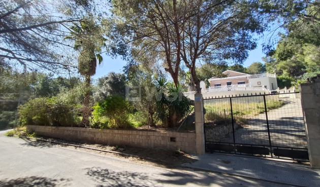 Resale - Villa - Canadas De San Pedro - Inland