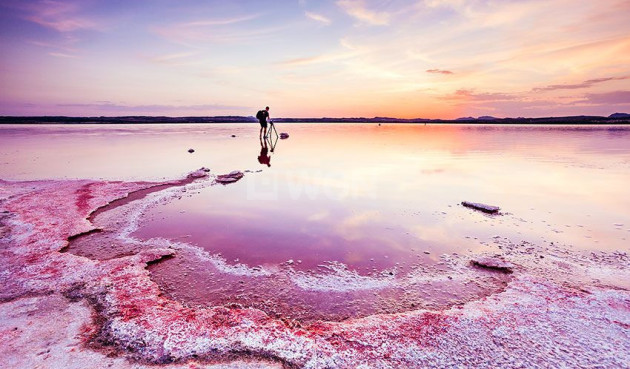 Resale - Penthouse - Villamartin - Costa Blanca