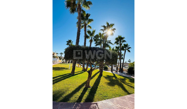 Odsprzedaż - Kamienica - Rojales - Ciudad Quesada