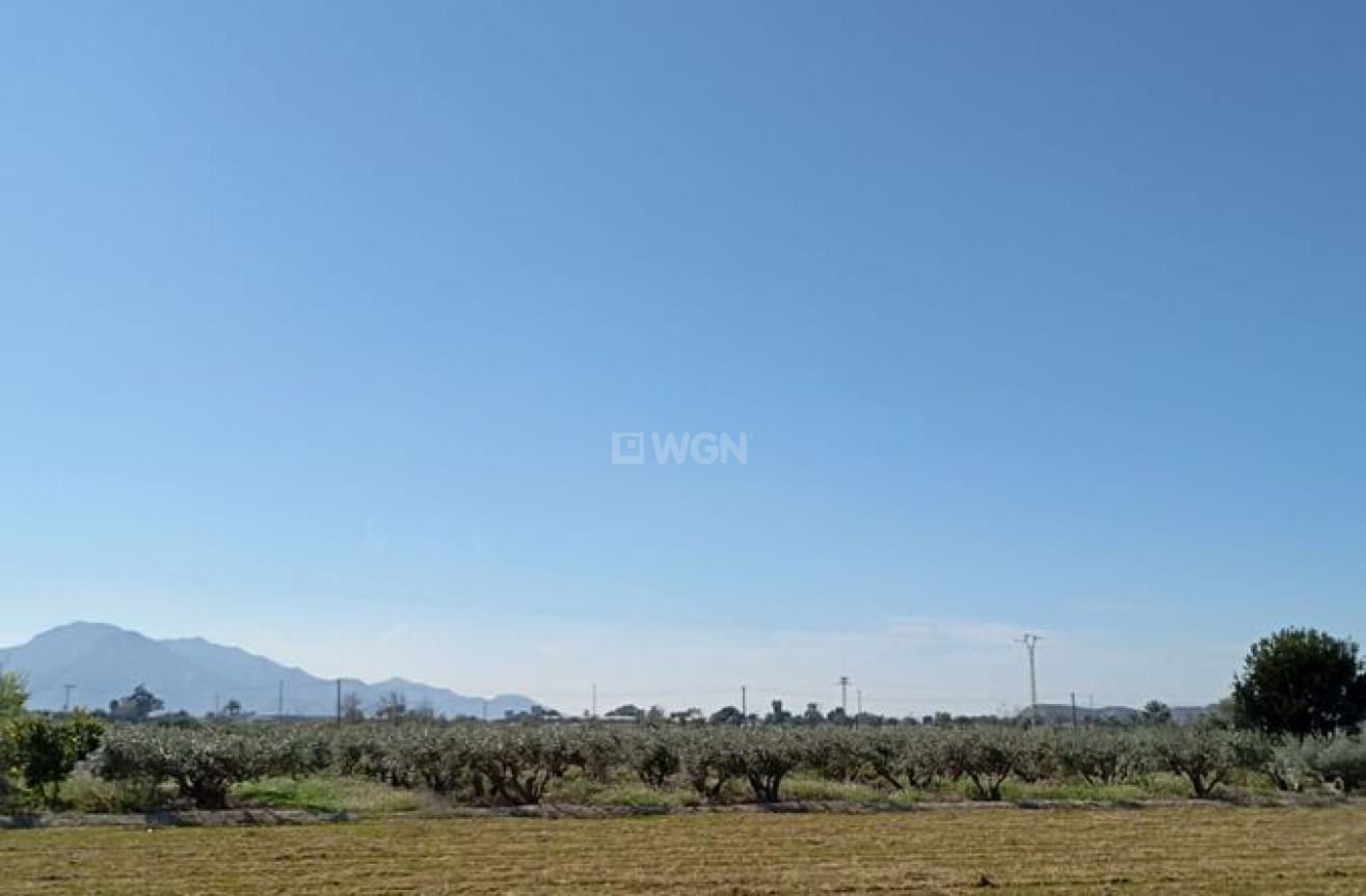 Odsprzedaż - Kamienica - Catral - Costa Blanca