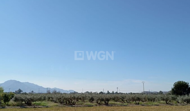 Odsprzedaż - Kamienica - Catral - Costa Blanca