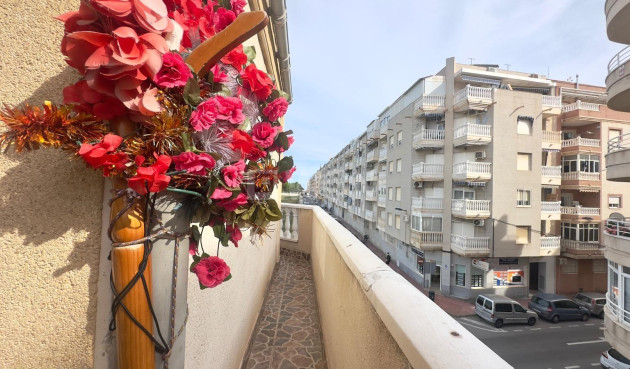 Odsprzedaż - Daszek - Torrevieja - Estacion De Autobuses