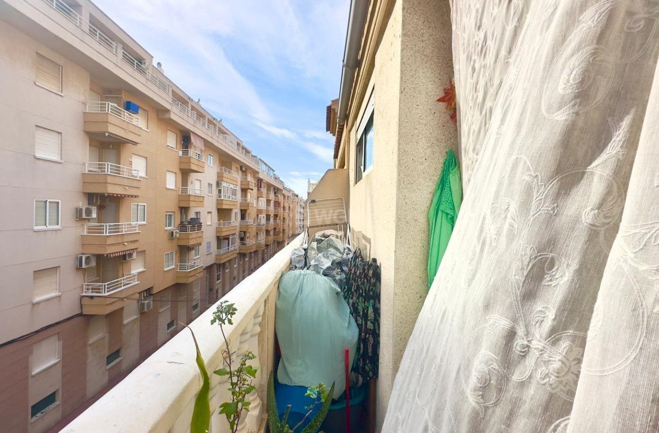 Odsprzedaż - Daszek - Torrevieja - Estacion De Autobuses