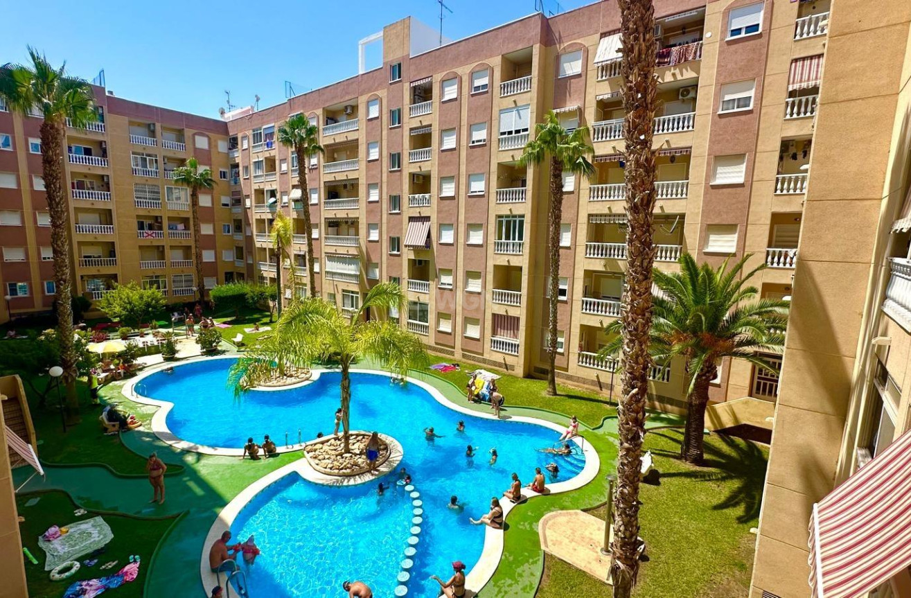 Wiederverkauf - Wohnung - Torrevieja - Centro