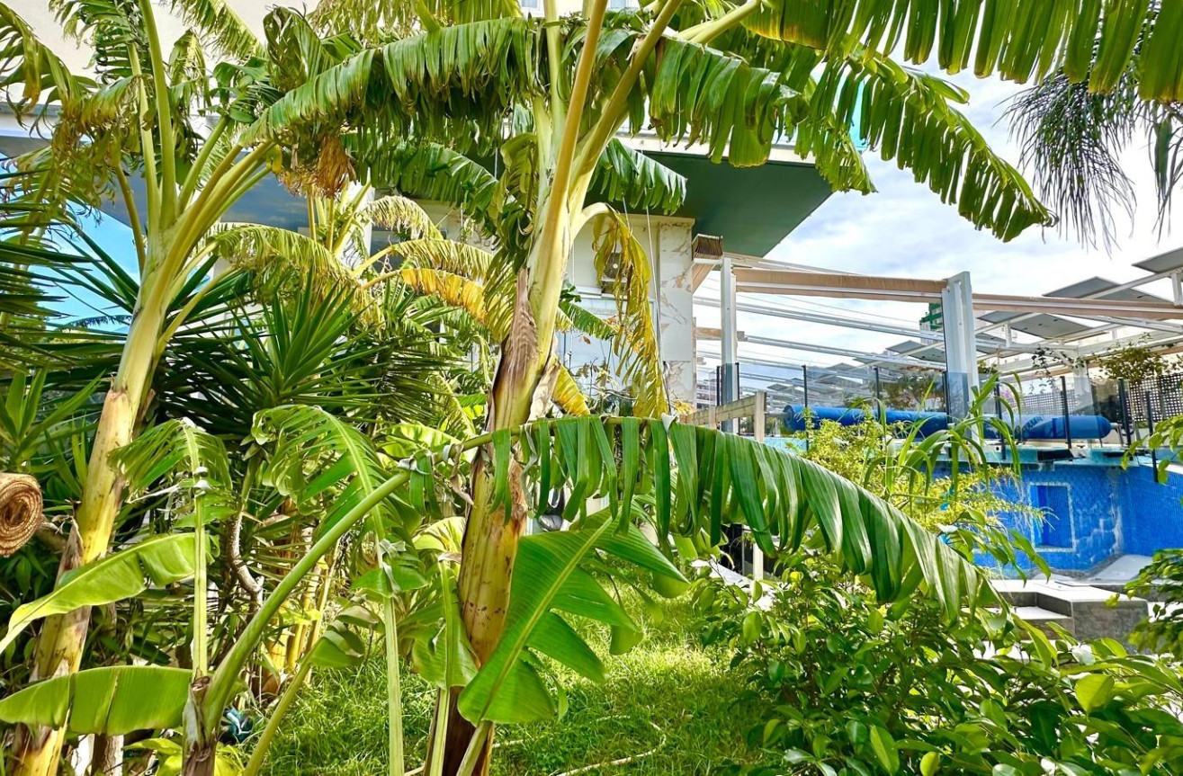 Reventa - Apartamento / piso - Finestrat